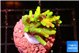 Acropora caroliniana banana 2-3 cm WYSIWYG acclimaté