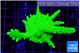 Acropora neon green 4-6 cm WYSIWYG acclimaté