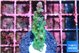 Acropora green & purple tip 2-3 cm WYSIWYG acclimaté