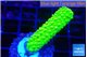 Acropora neon green 2-3 cm WYSIWYG acclimaté