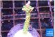 Acropora green 2-3 cm WYSIWYG acclimaté