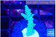 Acropora green 1-3 cm WYSIWYG acclimaté