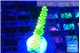 Acropora neon green 1-3 cm WYSIWYG acclimaté