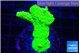 Acropora neon green 2-3 cm WYSIWYG acclimaté