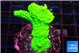 Acropora neon green 2-3 cm WYSIWYG acclimaté