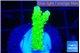 Acropora neon green 1-2 cm WYSIWYG acclimaté