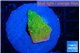 Montipora sun graphted 1-2 cm WYSIWYG acclimaté