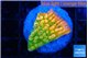 Montipora kungpao phoenix 2-3 cm WYSIWYG acclimaté