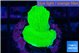 Montipora green cap 2-3 cm WYSIWYG acclimaté