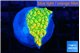Montipora kungpao phoenix frag 2-3 cm WYSIWYG acclimaté