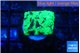 Favia reverse green 2-3 cm WYSIWYG acclimaté