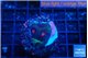 Favia monster purple 2-3 cm WYSIWYG acclimaté