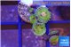 Zoanthus premium 4-5 polyps WYSIWYG acclimaté