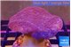 Sarcophyton long polyps 7-14 cm WYSIWYG acclimaté