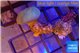 Sarcophyton long polyps 3-6 cm WYSIWYG acclimaté