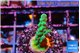 Acropora green purple tip 2-3 cm WYSIWYG acclimaté