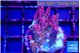 Acropora full pink Fijii 3-4 cm WYSIWYG acclimaté