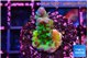 Acropora green purple tip 2-4 cm WYSIWYG acclimaté