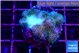 Pocillopora damicornis pink tip 2-3 cm WYSIWYG acclimaté