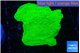 Montipora green cap 4-6 cm WYSIWYG acclimaté