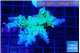 Acropora green blue Fijii 4-6 cm WYSIWYG acclimaté