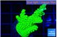 Acropora full neon green 3-4 cm WYSIWYG acclimaté