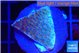 Montipora purple & blue polyps 2-3 cm WYSIWYG acclimaté