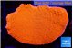 Montipora red cap 5-7 cm WYSIWYG acclimaté