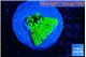 Montipora green 1-2 cm WYSIWYG acclimaté