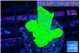 Monipora green cap 3-4 cm WYSIWYG acclimaté