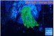 Discosoma neglecta lemon green 3-5 cm WYSIWYG acclimaté