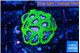 Favia space monkey 2-3 cm WYSIWYG acclimaté