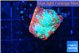 Echinophyllia tropic thunder 2-3 cm WYSIWYG acclimaté