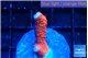 Montipora digitata bubble gum 1-2 cm WYSIWYG acclimaté