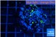 Pachyclavularia neon green 3-4 cm WYSIWYG acclimaté