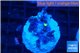 Pachyclavularia neon green 2 cm WYSIWYG acclimaté