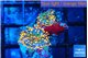 Ricordea yuma red 2 polyps WYSIWYG acclimaté