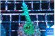 Acropora green purple tip 2-3 cm WYSIWYG acclimaté