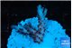 Acropora pink cherry 2-3 cm WYSIWYG acclimaté