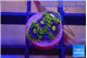 Zoanthus neon blue magician 3-4 polyps WYSIWYG acclimaté