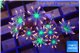 Clavularia papaya fire works 3-4 cm WYSIWYG acclimaté
