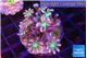Clavularia papaya fire works 3-4 cm WYSIWYG acclimaté