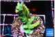Acropora green & pink Fijii 3-5 cm WYSIWYG acclimaté