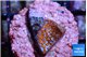 Montipora superman 2 cm WYSIWYG acclimaté
