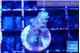 Acropora purple 2 cm WYSIWYG acclimaté
