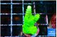 Acropora neon green 3-4 cm WYSIWYG acclimaté