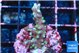 Acropora carduus green polyps deep water 2-3 cm WYSIWYG acclimaté