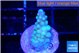Acropora green purple 1-2 cm WYSIWYG acclimaté