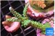 Acropora green purple 4-5 cm WYSIWYG acclimaté