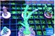 Acropora green purple 4-6 cm WYSIWYG acclimaté